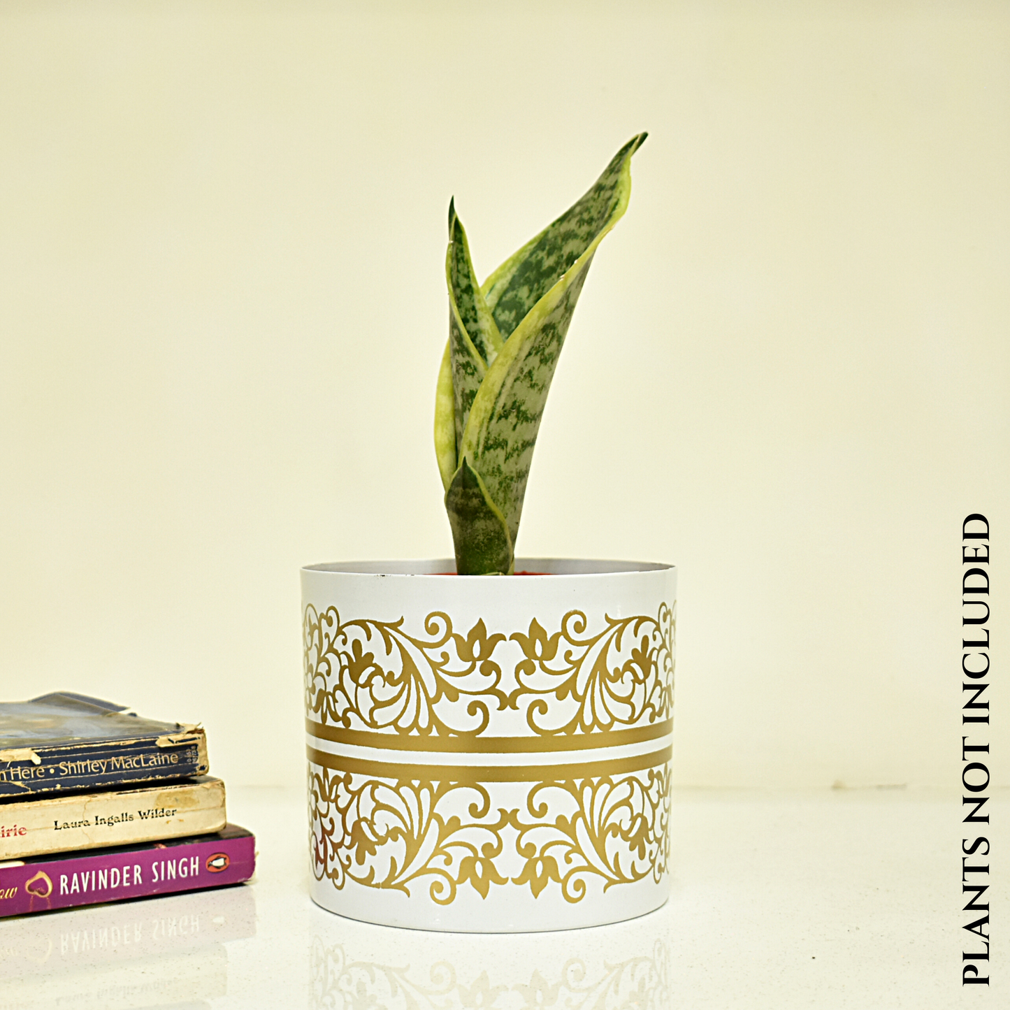 White & Golden Floral Print Metal Pot With Metal Stand | Home & Garden | 5 Inches