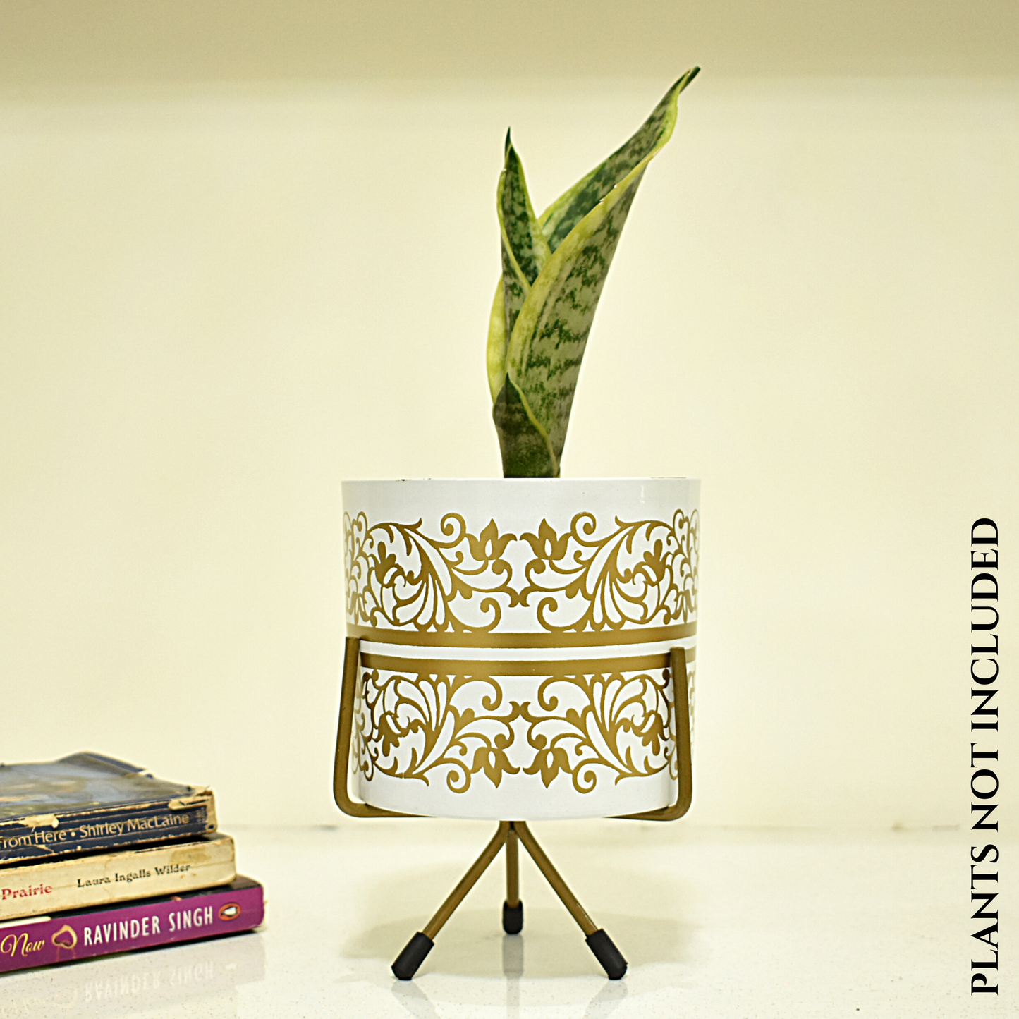 White & Golden Floral Print Metal Pot With Metal Stand | Home & Garden | 5 Inches