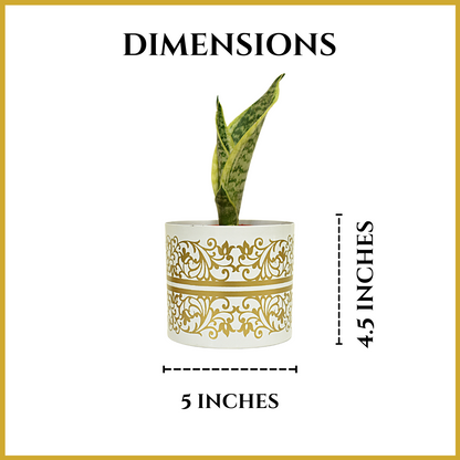 White & Golden Floral Print Metal Pot With Metal Stand | Home & Garden | 5 Inches