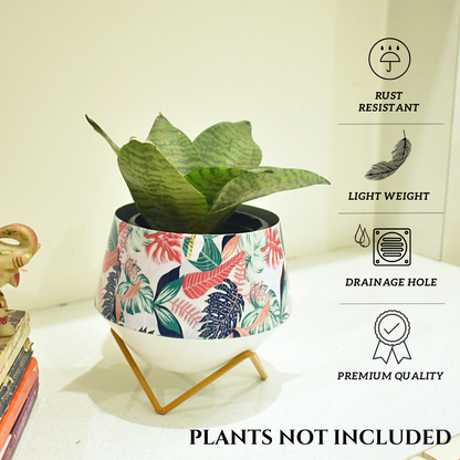 Monstera Magic Indoor Metal Planter With Metal Stand | Home & Garden | 5 Inches