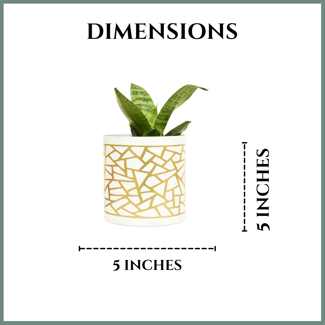 White & Golden Abstract Indoor Metal Planter With Metal Stand | Home & Garden | Home BAEsic | 5 Inches